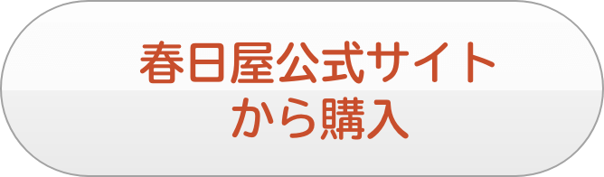 公式サイトから購入