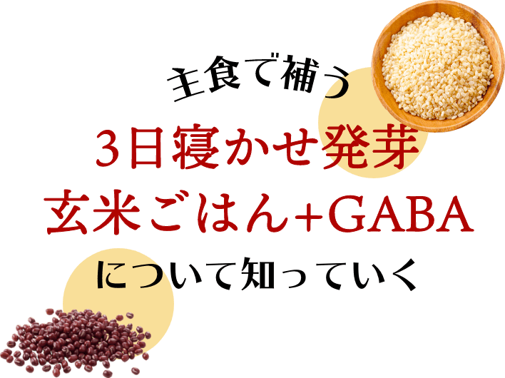 主食で補う３日寝かせ発芽玄米ごはん＋GABAについて知っていく